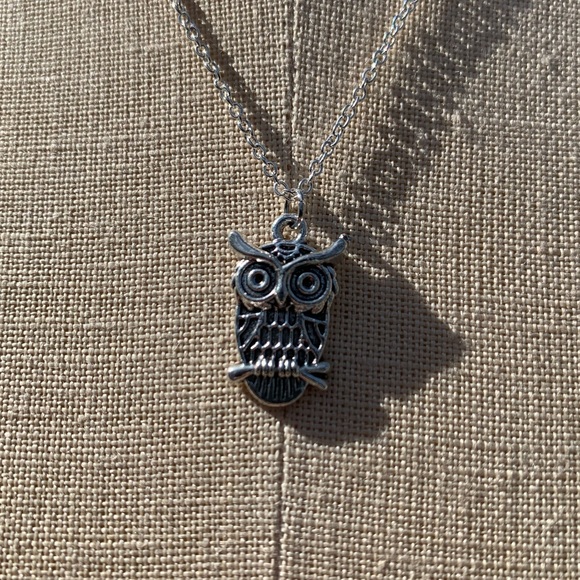 NWT Sterling Silver Plated Chain & Owl Alloy Metal Charm Necklace - Picture 8 of 9